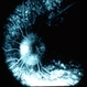 Pseudopapilledema